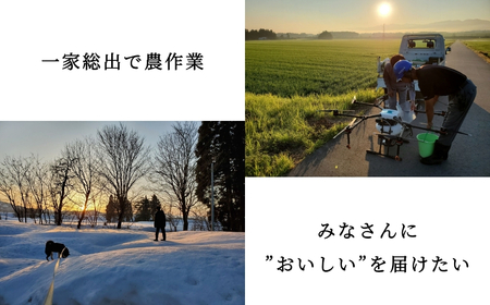魚沼産コシヒカリ 5kg×3か月連続お届け 山口松兵衛 従来品種 | 15キロ 定期便 新潟県 魚沼 令和7年