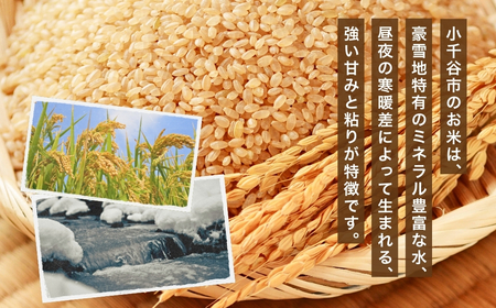 魚沼 コシヒカリ JAS有機栽培 玄米 5kg わたなべ農園 |玄米 新潟県 小千谷市