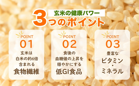 魚沼 コシヒカリ JAS有機栽培 玄米 5kg わたなべ農園 |玄米 新潟県 小千谷市