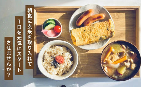 魚沼 コシヒカリ JAS有機栽培 玄米 5kg わたなべ農園 |玄米 新潟県 小千谷市