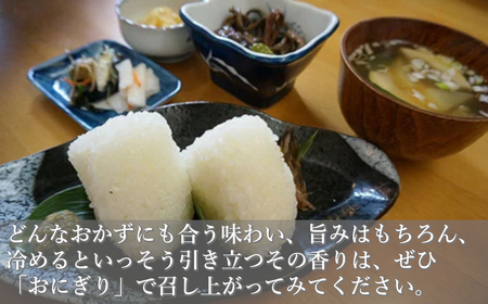 魚沼産コシヒカリ 5kg2袋 | 10キロ 新潟県 魚沼 令和7年