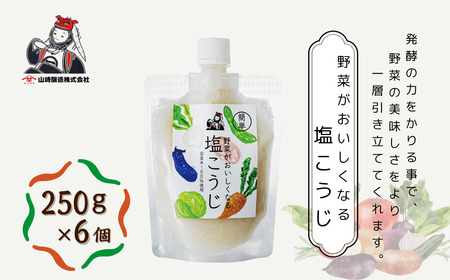 野菜がおいしくなる塩こうじ 250g×6個入 山崎醸造 | こうじ