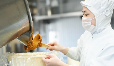 【白みそ】味噌 4KB (4kg袋入) みそ 調味料 山崎醸造