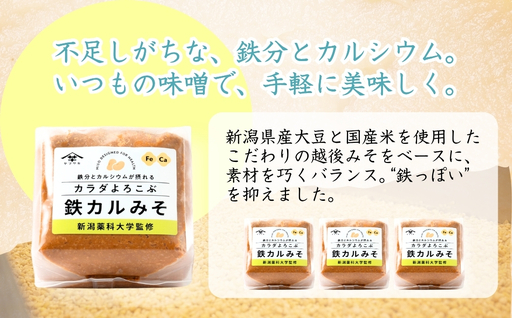 カラダよろこぶ鉄カルみそ (700g×4個入) 新潟薬科大学監修 鉄分とカルシウムが摂れる 山崎醸造