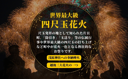 【先行予約 令和8年9月12日(土)】世界一を体感！片貝まつり花火大会 桟敷席チケット (最大6名様升席) | 花火 新潟県 小千谷市