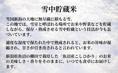パックご飯 魚沼産コシヒカリ パックご飯24個 たかの