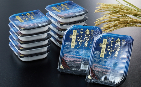 パックご飯 魚沼産コシヒカリ パックご飯48個 たかの