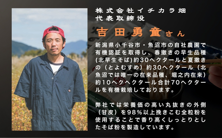 十割そば 太麺 12袋 全粒粉 イチカラ畑 | 十割そば