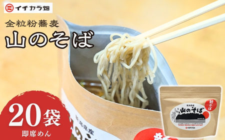 山のそば 20袋 イチカラ畑 |インスタント そば