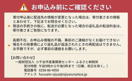 へぎそば 生そば(冷凍パック) 8人前 わたや