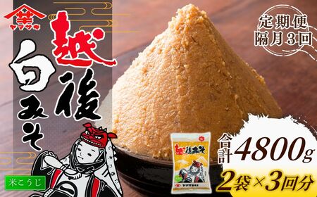 定期便 隔月お届け 越後みそ白 1.6kg（800g×2袋）×全3回 山崎醸造