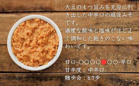 定期便 隔月お届け 越後みそ雪（赤）＆白 1袋（合計1.6kg）×全3回 山崎醸造