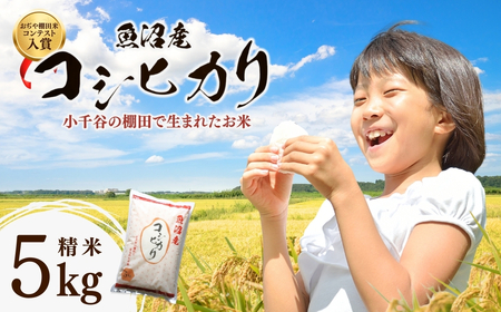 魚沼産コシヒカリ 5kg 棚田米コンテスト入賞者が栽培 | 新潟県 魚沼 令和7年