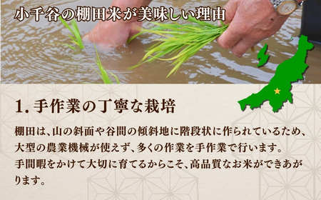 【令和7年産】魚沼産コシヒカリ 10kg 棚田米コンテスト入賞者が栽培