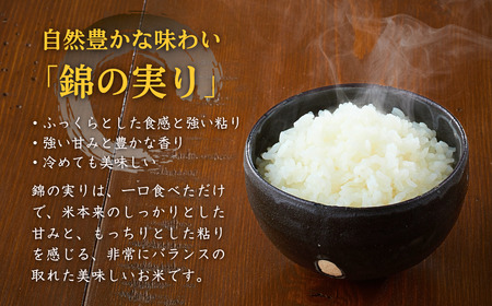 新潟産コシヒカリ 錦の実り Aランク 15kg | 5kg×3回 定期便 新潟県 小千谷市 ブランド認証 令和7年