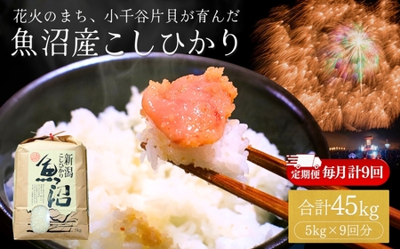 魚沼産コシヒカリ 5kg×9か月連続お届け 米萬商店 | 45キロ 定期便 新潟県 魚沼 令和7年