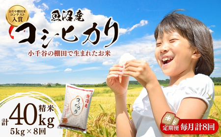 魚沼産コシヒカリ 5kg×8か月連続お届け 棚田米コンテスト入賞者が栽培 | 40キロ 定期便 新潟県 魚沼 令和7年