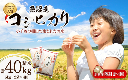 魚沼産コシヒカリ 10kg 隔月4回 棚田米コンテスト入賞者が栽培 | 40キロ 定期便 新潟県 魚沼 令和7年
