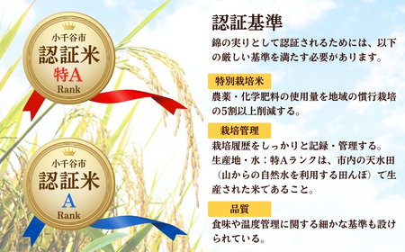 コシヒカリ 40kg 錦の実り 特Aランク 小千谷市ブランド認証 | 10キロ×4回 隔月 定期便 新潟県 魚沼 令和7年 コシヒカリ