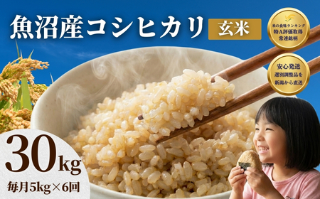 先行予約 魚沼 コシヒカリ玄米 30kg | 5キロ×6回 毎月 定期便 新潟県 令和8年 玄米