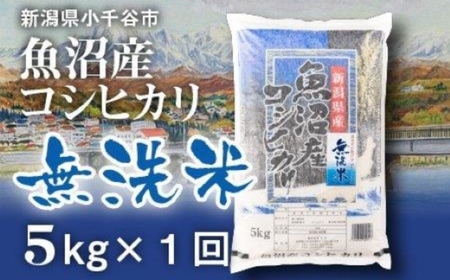先行予約 令和8年 魚沼産 コシヒカリ 無洗米 5kg 小千谷｜特A評価 時短 無洗
