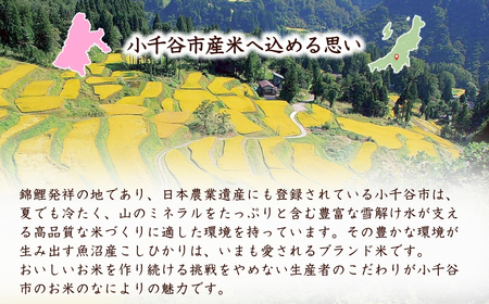 魚沼産コシヒカリ 10kg×12回毎月お届け 米萬商店 | 120キロ 定期便 新潟県 魚沼 令和7年