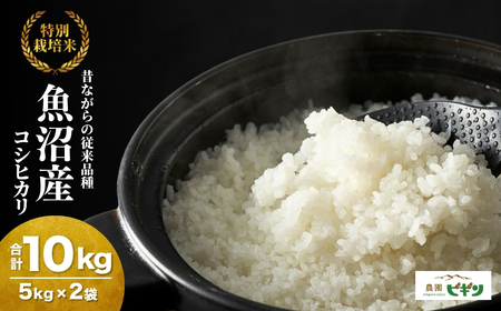 【令和7年】 昔ながらの魚沼産コシヒカリ 精米10kg(5キロ×2) 従来品種 農園ビギン | おこめ 特A評価 小千谷市 コシヒカリ