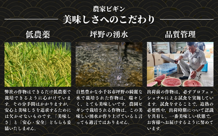 【令和7年】 昔ながらの魚沼産コシヒカリ 精米5kg(5キロ×1) 従来品種 農園ビギン | おこめ 特A評価 小千谷市 コシヒカリ