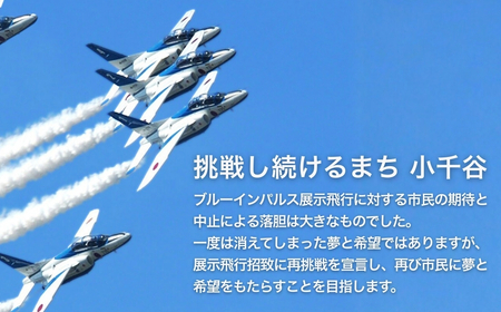 小千谷市 自衛隊 ブルーインパルス 駐車チケット お米セット ｜ ブルー  Blue Impulse 