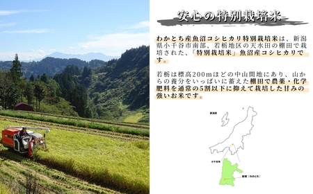 【特別栽培米 玄米】棚田で育てた魚沼産コシヒカリ 5kg