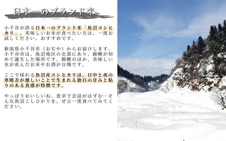 【特別栽培米 玄米】棚田で育てた魚沼産コシヒカリ 5kg