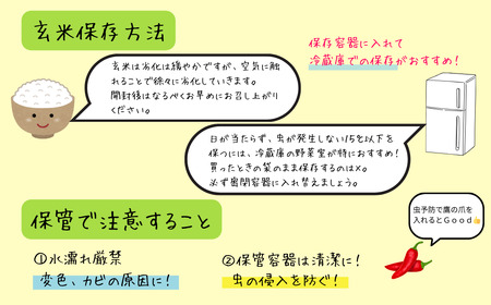 【特別栽培米 玄米】棚田で育てた魚沼産コシヒカリ 5kg
