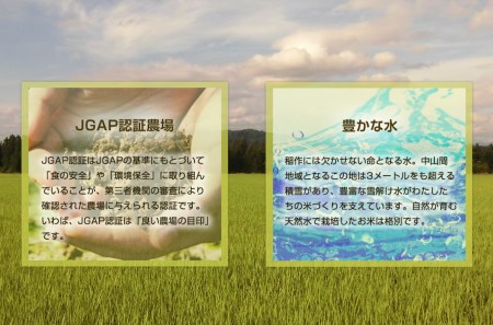 r05-14-5u 令和5年産 魚沼産コシヒカリ特別栽培米「伊乎乃」5㎏ JGAP認証農場 白米 魚沼 米