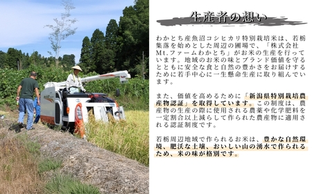 【毎月 定期便 特別栽培米 玄米5kg×6か月】棚田で育てた魚沼産コシヒカリ