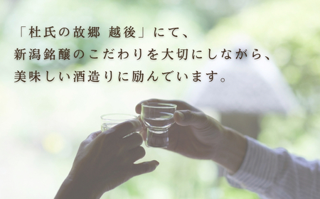 日本酒 越の寒中梅 越淡麗 純米大吟醸720ml｜日本酒