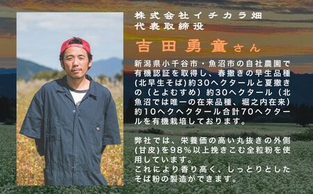 雪室蕎麦 ふのり乾麺 12袋 イチカラ畑 蕎麦