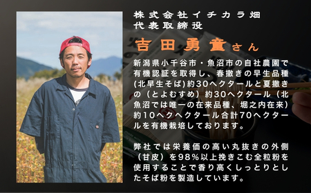 十割そば 12袋 有機蕎麦全粒粉100％ グルテンフリー イチカラ畑