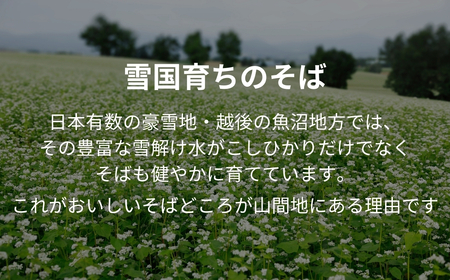 小千谷蕎麦 8束16つゆ たかの | 蕎麦