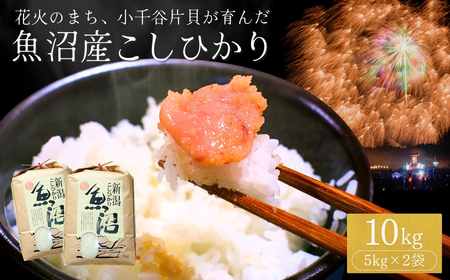 魚沼産 コシヒカリ 10kg 魚沼地域 コシヒカリ 米萬商店