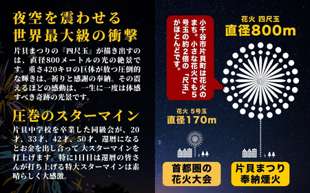 【先行予約 令和8年9月11日(金)】世界一を体感！片貝まつり花火大会 桟敷席チケット (1名様分)  | 花火 新潟県 小千谷市