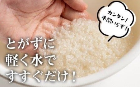 【 令和7年産 定期便 毎月お届け】 魚沼産コシヒカリ 5kg×6回(計30kg) 無洗米