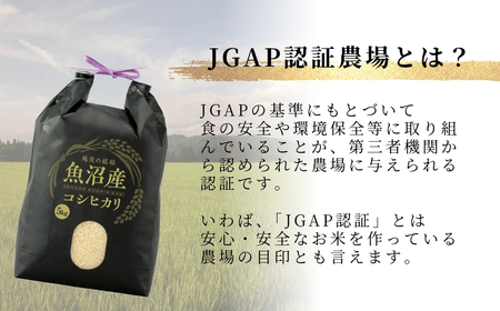 魚沼産コシヒカリ 5kg×3か月連続お届け うちがまき絆 | 15キロ 定期便 新潟県 魚沼 令和7年