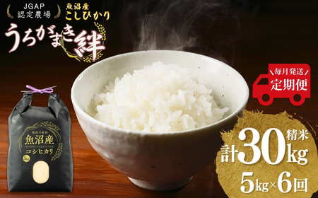 魚沼産コシヒカリ 5kg×6か月連続お届け うちがまき絆 | 30kg 定期便 新潟県 魚沼 令和7年