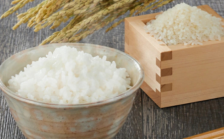 魚沼産コシヒカリ 2kg2袋 | 新潟県 魚沼 令和7年