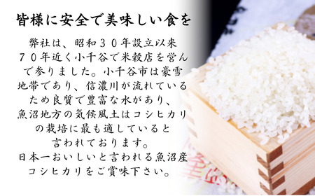 魚沼産コシヒカリ 3kg3袋 | 新潟県 魚沼 令和7年