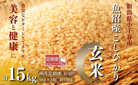魚沼 コシヒカリ玄米 15kg | 5キロ×3回 隔月 定期便 新潟県 令和7年 玄米