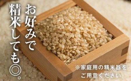 魚沼 コシヒカリ玄米 15kg | 5キロ×3回 隔月 定期便 新潟県 令和7年 玄米