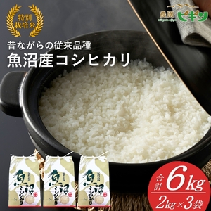 令和7年産 昔ながらの魚沼産コシヒカリ 従来品種 精米 6kg（2kg×3袋）農園ビギン/魚沼産コシヒカリ