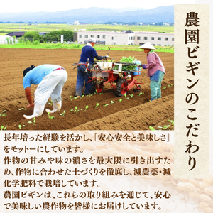 令和7年産 昔ながらの魚沼産コシヒカリ 従来品種 定期便 24kg（2kg×2袋×毎月全6回）農園ビギン/コシヒカリ 定期便