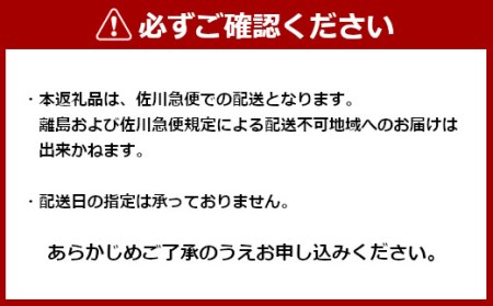 r05-016-010 新潟県産もち米使用「越後もちめし１６個」（七目4個、和牛ごぼう4個、焼豚4個、ちりめん山椒4個）